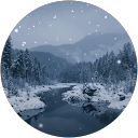 Stan Alexandru profile picture